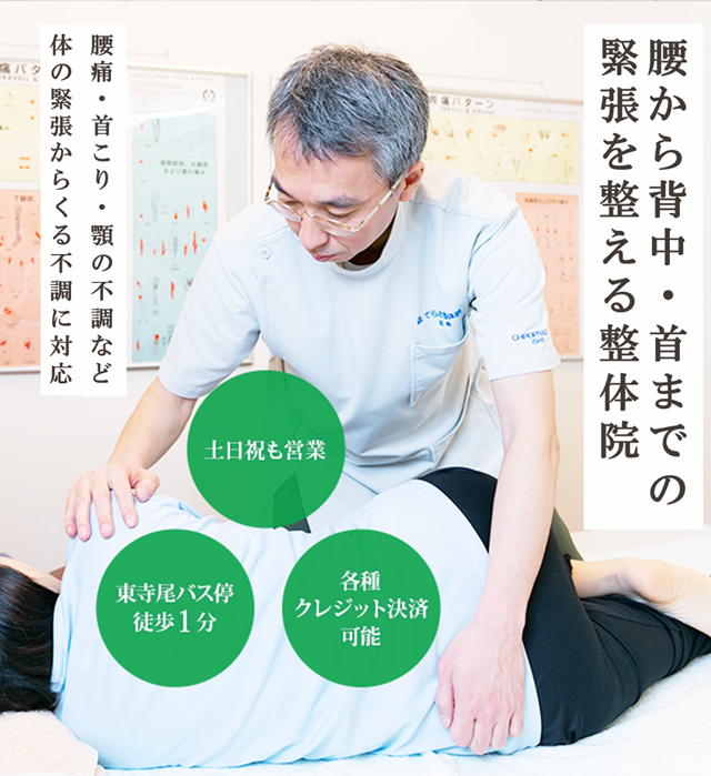 てらお整体院は、腰から背中・首までの緊張を整える整体院です